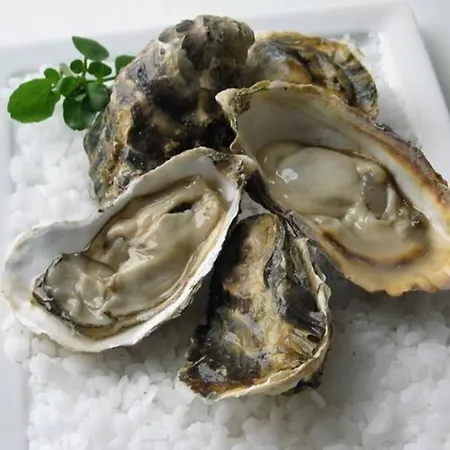 Villa La Hautaise Vue Sur *