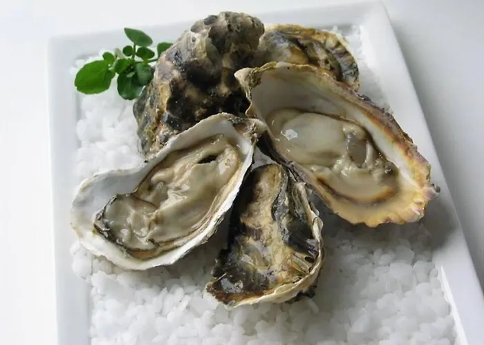 Villa La Hautaise Vue Sur *